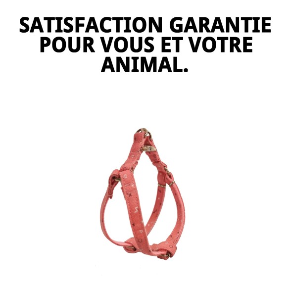 Petral Moly Saumon T-5 40-50*2 : Haute qualité pour votre animal de compagnie.