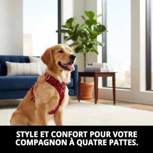 Petral Casitas Rojas T-1 pour Animaux de Compagnie - Confort et Style 2