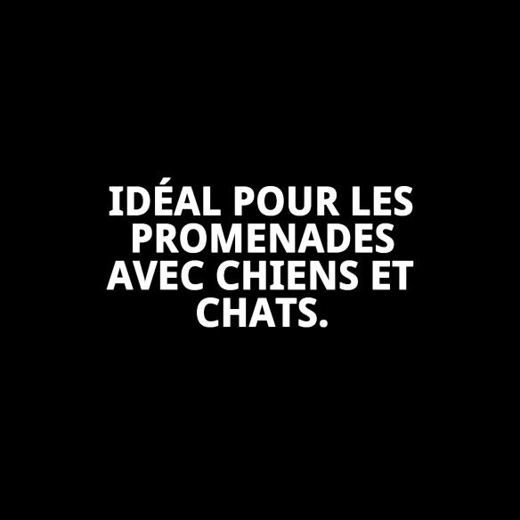 Petral Casitas Rojas T-1 pour Animaux de Compagnie - Confort et Style