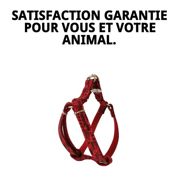 Petral Casitas Rojas T-1 pour Animaux de Compagnie - Confort et Style
