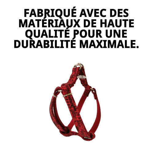 Petral Casitas Rojas T-3 pour animaux de compagnie de 30-40 cm