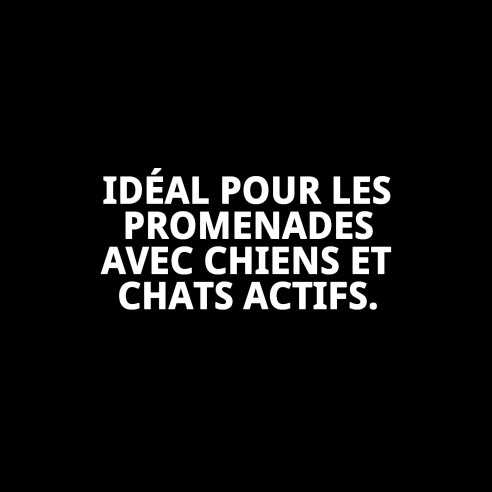 Petral Casitas Rojas T-3 pour animaux de compagnie de 30-40 cm