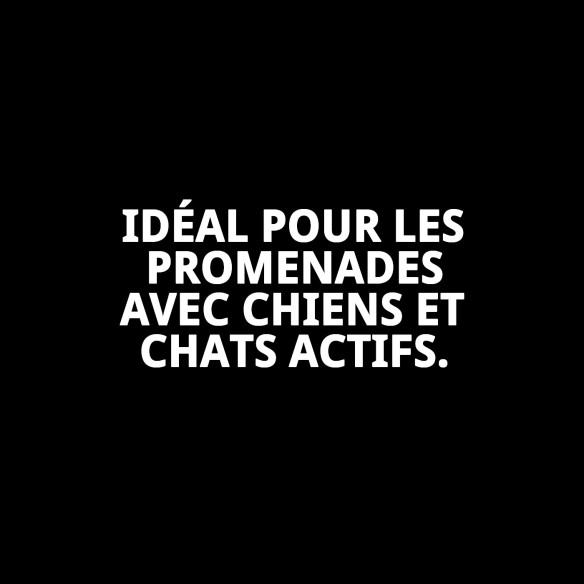 Petral Casitas Rojas T-3 pour animaux de compagnie de 30-40 cm