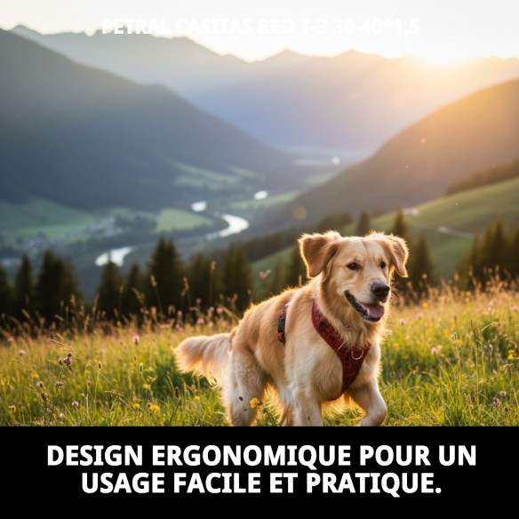 Petral Casitas Rojas T-3 pour animaux de compagnie de 30-40 cm