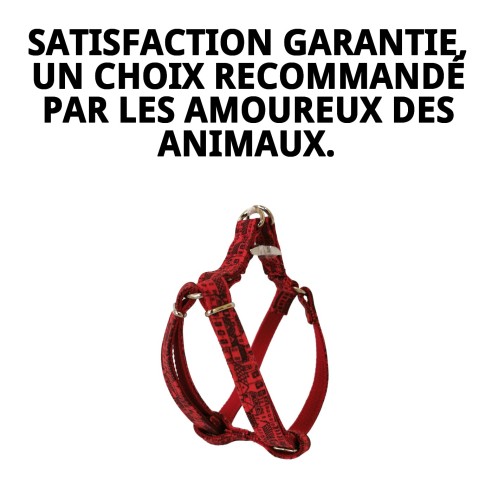 Petral Casitas Rojas T-3 pour animaux de compagnie de 30-40 cm