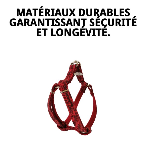 Petral Casitas Rojas T-5 pour Animaux de Compagnie 40-50 cm