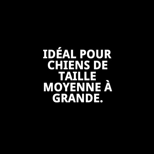 Petral Casitas Rojas T-5 pour Animaux de Compagnie 40-50 cm