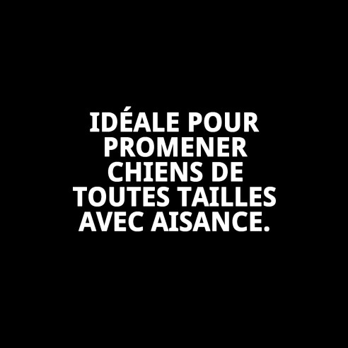 Rameau Poignée Ergonomique Confort pour Promenades Agréables