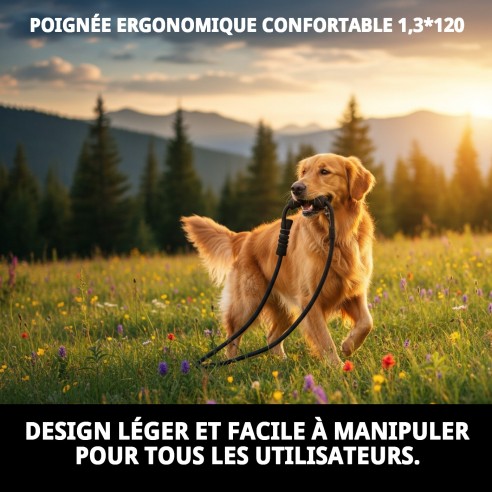 Rameau Poignée Ergonomique Confort pour Promenades Agréables