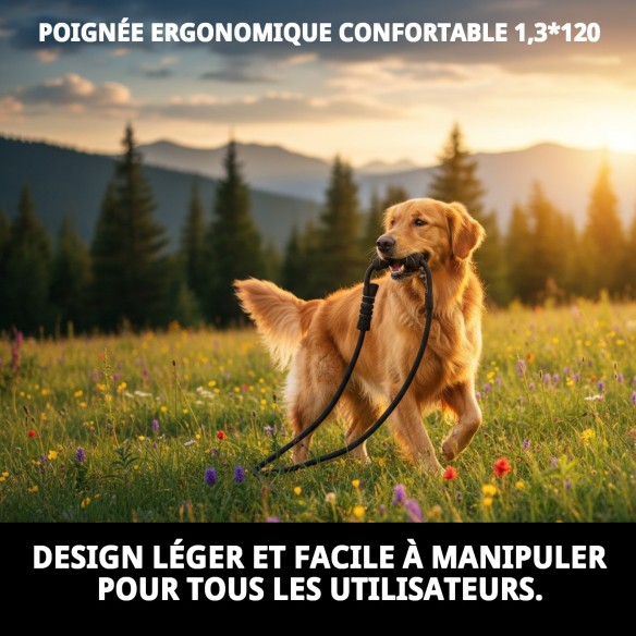 Rameau Poignée Ergonomique Confort pour Promenades Agréables