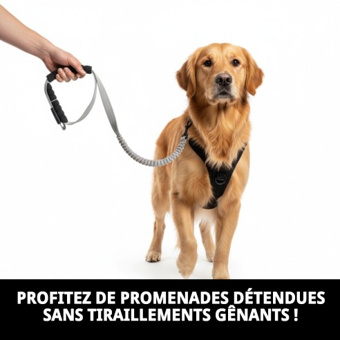 Ramal Mango Ergonomique Anti-Tirages - Promenades sans tirages