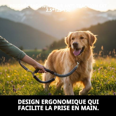 Ramal Mango Ergonomique Anti-Tirages - Promenades sans tirages