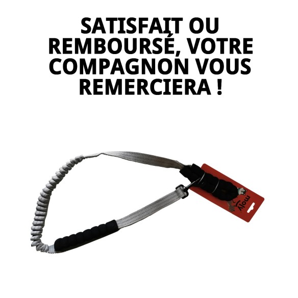 Ramal Mango Ergonomique Anti-Tirages - Promenades sans tirages