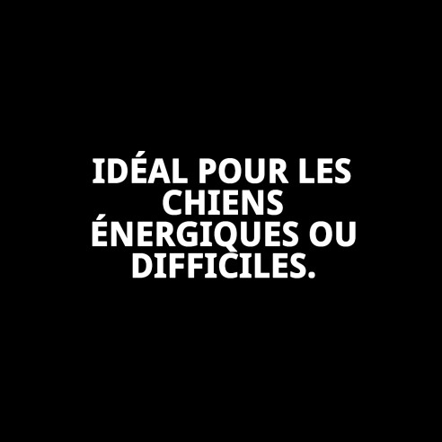 Muzzle en osier en cuir et plastique taille 2 pour votre animal de compagnie.