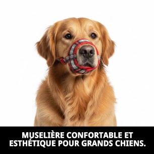 Muzzle Deluxe Écossais T-L pour Chiens | Qualité Moly 2