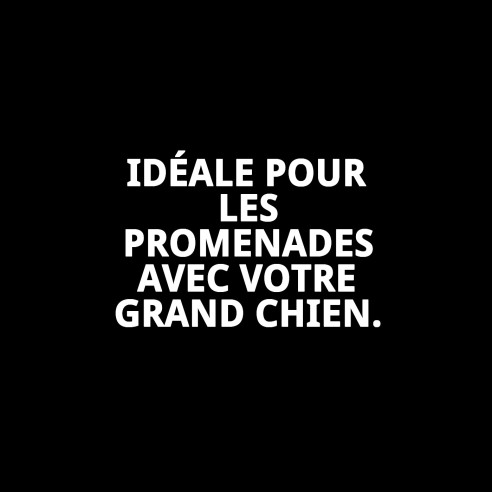 Muzzle Deluxe Écossais T-L pour Chiens | Qualité Moly