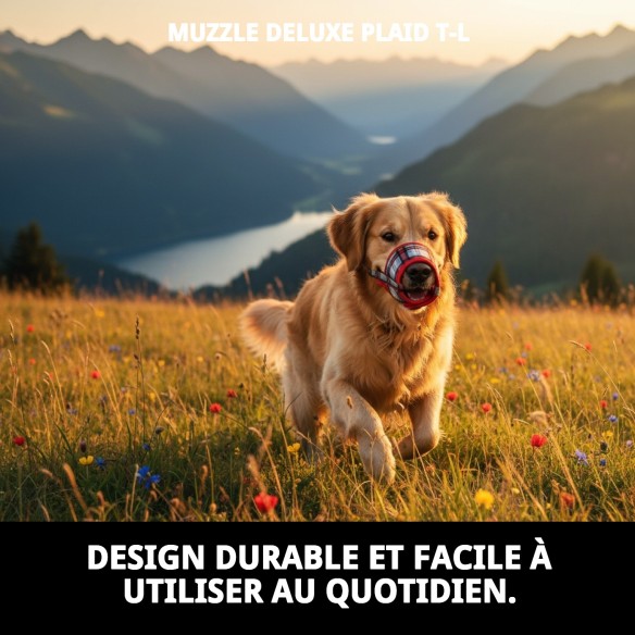 Muzzle Deluxe Écossais T-L pour Chiens | Qualité Moly