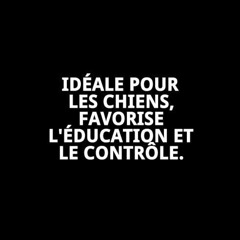 Muzzle Deluxe Nuages T-M : Confort et Style pour Votre Animal de Compagnie