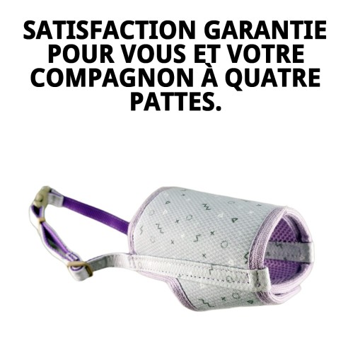Muzzle Deluxe Moly Lila T-L pour animaux de compagnie confortables et en sécurité.