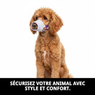 Muzzle Deluxe Moly Lila T-M pour Animaux de Compagnie Confortable et Sûr 2