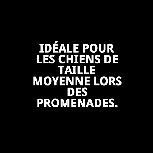 Muzzle Deluxe Moly Lila T-M pour Animaux de Compagnie Confortable et Sûr