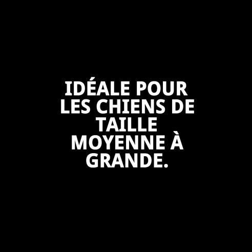 Muzzle Deluxe Moly Saumon T-L : Confort et Style pour votre Chien