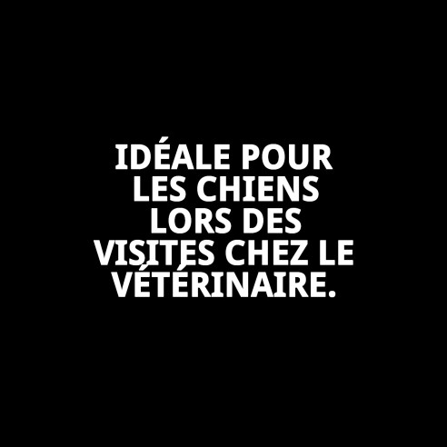 Muzzle Deluxe Cœurs T-S : Style et Confort pour Votre Animal de Compagnie