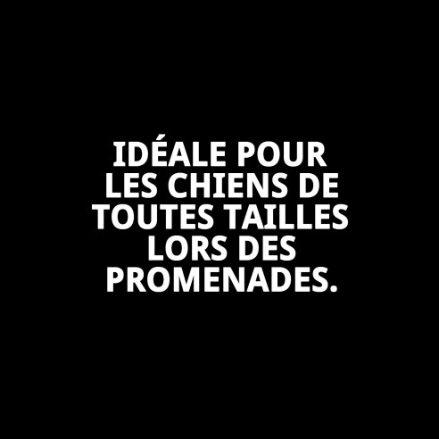 Bozal Deluxe Topitos T-S : Confort et Style pour votre Animal de Compagnie