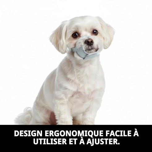 Muzzle Deluxe Gaviotas Taille S pour Chiens Petits