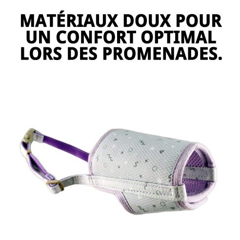 Muzzle Deluxe Moly Lila T-S : Style et Confort pour votre Animal de Compagnie