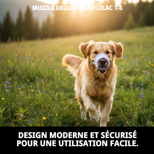 Muzzle Deluxe Moly Lila T-S : Style et Confort pour votre Animal de Compagnie