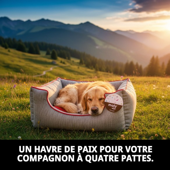 Coussin Rectangulaire Chenille Gris T-1 pour Animaux de Compagnie 50x42x21