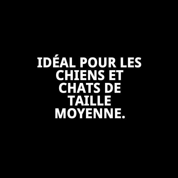 Coussin Rectangulaire Étoiles T-3 pour Animaux de Compagnie 75x63x24