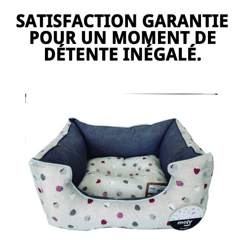 Coussin Rectangulaire Fresitas/Gris T-1 pour Animaux de Compagnie 50x42x21