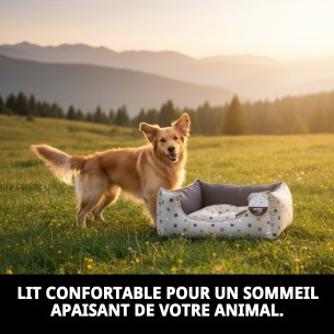 Coussin Rectangulaire Fresitas Gris T-2 60x48x24 pour Animaux de Compagnie 2