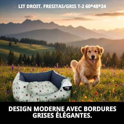 Coussin Rectangulaire Fresitas Gris T-2 60x48x24 pour Animaux de Compagnie