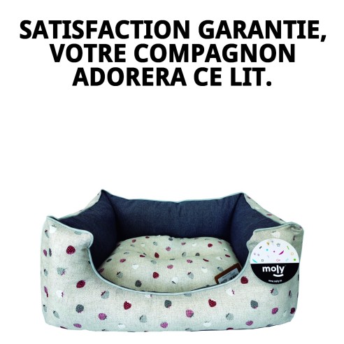 Coussin Rectangulaire Fresitas Gris T-2 60x48x24 pour Animaux de Compagnie