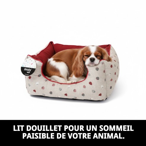 Coussin Rectangulaire Fresitas/Granate T-1 pour Animaux de Compagnie