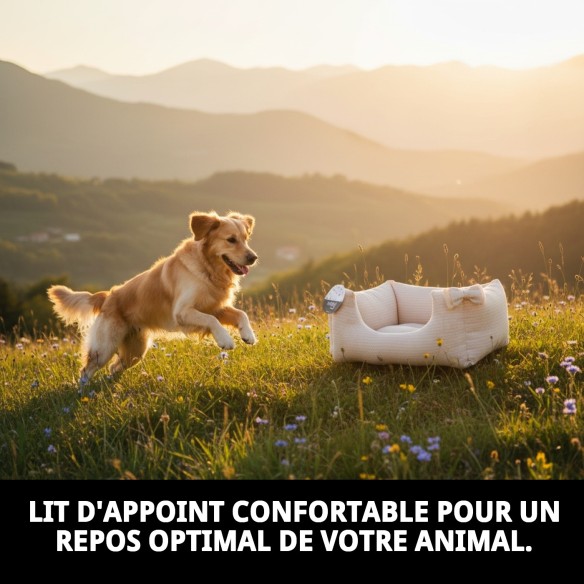 Cratère Rectangulaire Cenefas T-1 50x42x21 pour Animaux de Compagnie