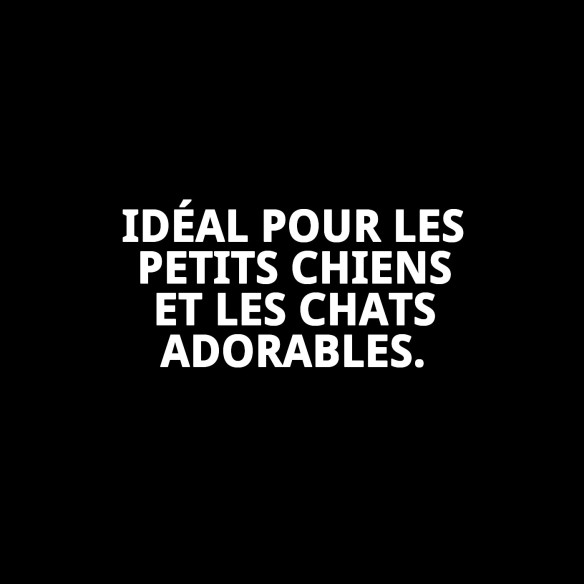 Cratère Rectangulaire Cenefas T-1 50x42x21 pour Animaux de Compagnie