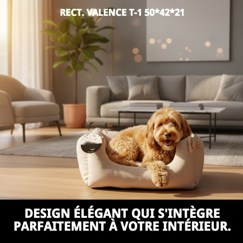 Cratère Rectangulaire Cenefas T-1 50x42x21 pour Animaux de Compagnie