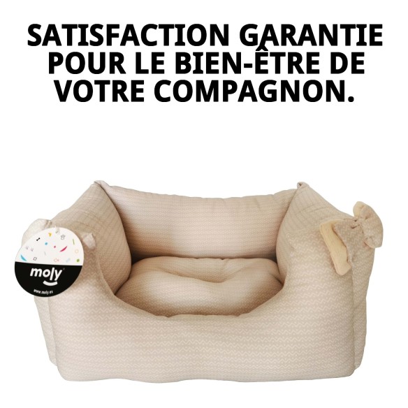Cratère Rectangulaire Cenefas T-1 50x42x21 pour Animaux de Compagnie