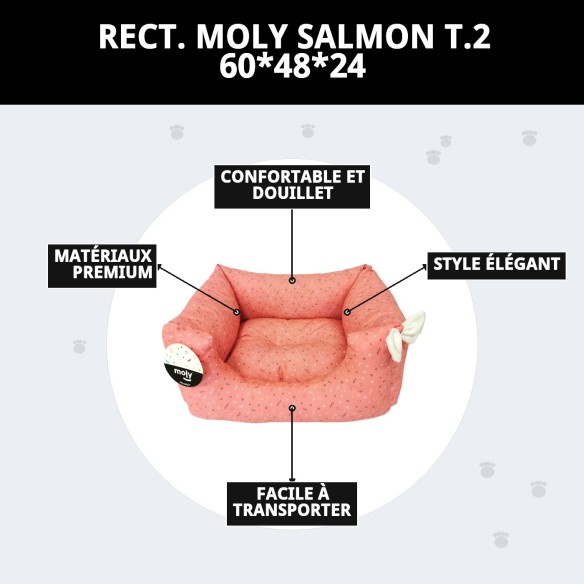 Caisse Rectangulaire Moly Saumon T.2 pour Animaux de Compagnie 60x48x24