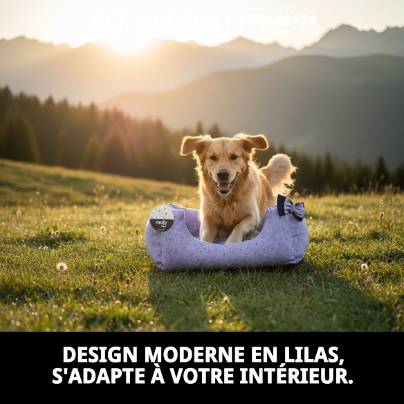 Cratère Rect. Moly Lila T-2 60x48x24 pour votre animal heureux.