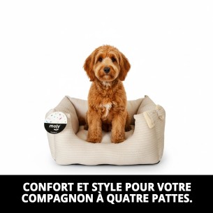 Cratère Rectangulaire Cenefas T-2 60x48x24 pour Animaux de Compagnie 2