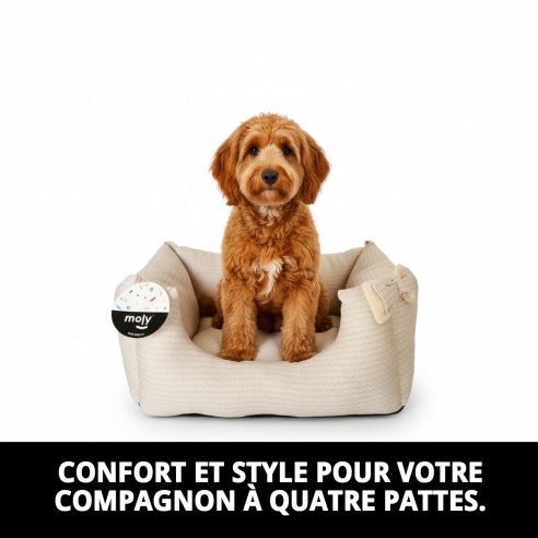 Cratère Rectangulaire Cenefas T-2 60x48x24 pour Animaux de Compagnie