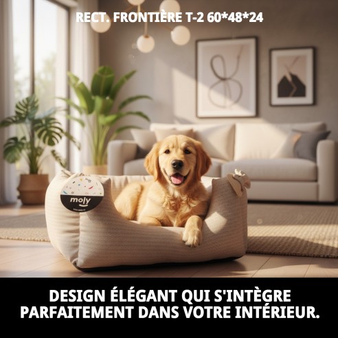 Cratère Rectangulaire Cenefas T-2 60x48x24 pour Animaux de Compagnie