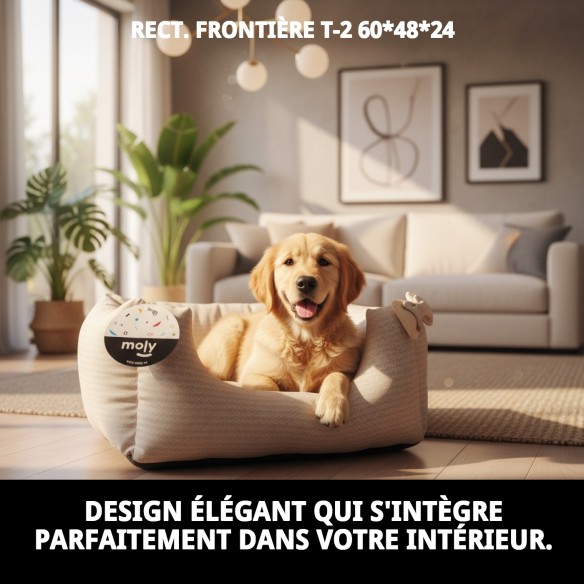 Cratère Rectangulaire Cenefas T-2 60x48x24 pour Animaux de Compagnie