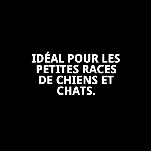 Coussin Rectangulaire Mistic Love T-1 pour Animaux 50x42 cm