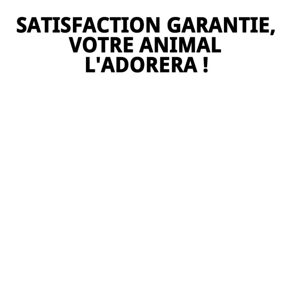 Coussin Rectangulaire Mistic Love T-1 pour Animaux 50x42 cm